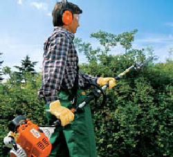 location taille haie,blanchard motoculture,blanchard motoculture,autoport&eacute;e,autoport&eacute;e occasion,tondeuse,tracteur occasion, micro tracteur occasion, cyclomoteur,scooter,motoculture 86,stihl occasion,mini pelle location 86,location 86,poitiers, remorque,remorque occasion, civray 86,tron&ccedil;onneuse 86, atelier 86,motoculture vienne, d&eacute;broussailleuse 86,tondeuse gen&ccedil;ay,tracteur 86,plaisance,motoculteur 86,motoculture86,location86,minipelle,mini-pelle,mini pelle 86,location nacelle 86,location manitou,motoculture de plaisance payr&eacute;,motoculture de plaisance
