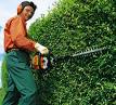 taille haie stihl